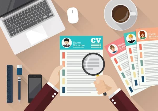 Professional Profile